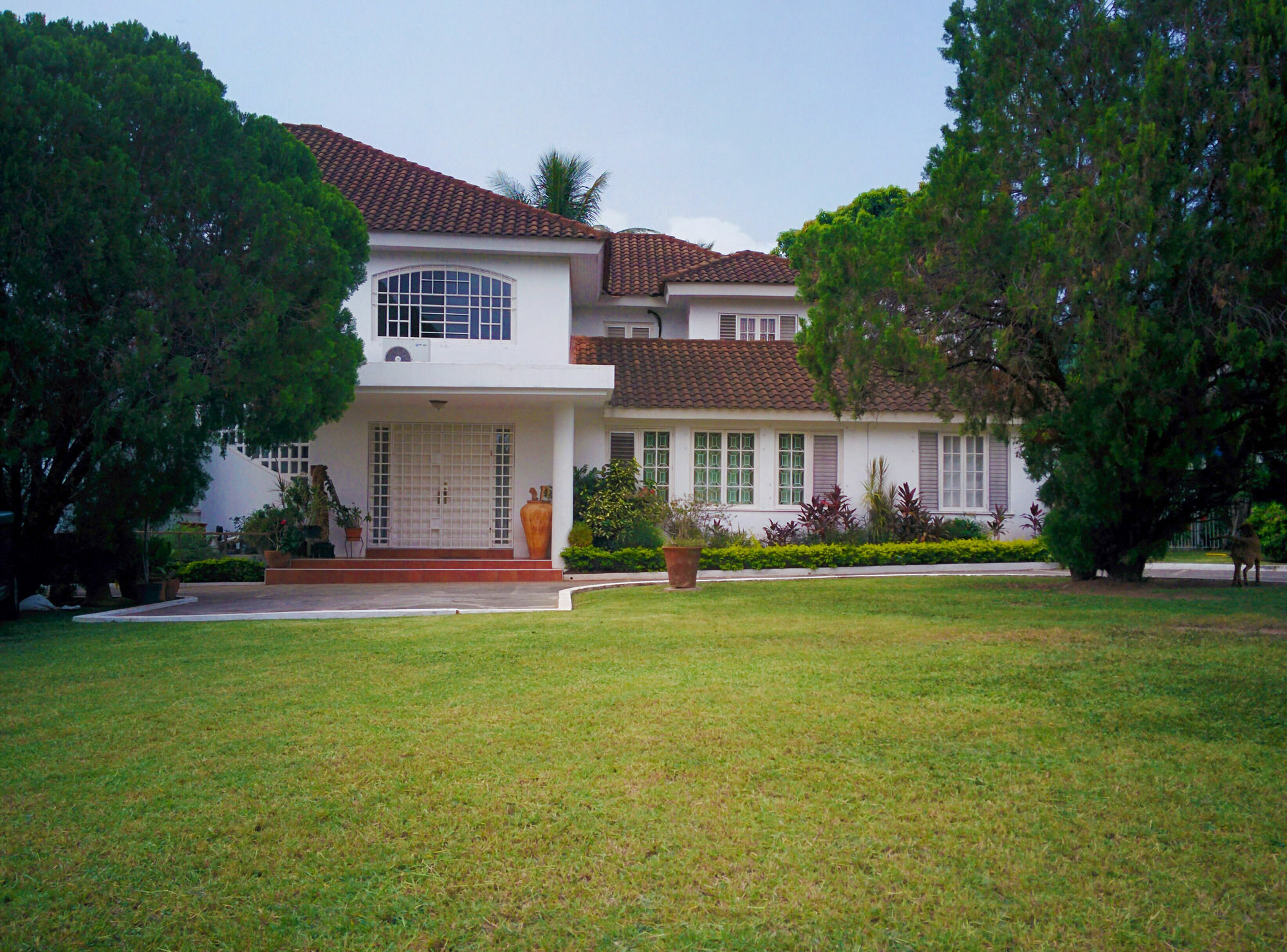 Chester Avenue Guest House Kingston Kültér fotó